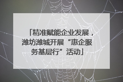 精准赋能企业发展，潍坊潍城开展“惠企服务基层行”活动